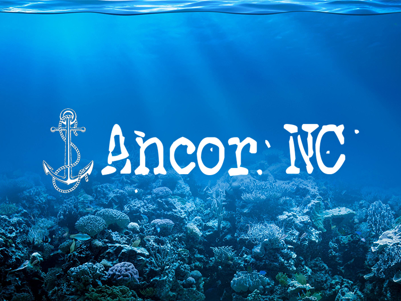 Bannière Projet Ancor NC